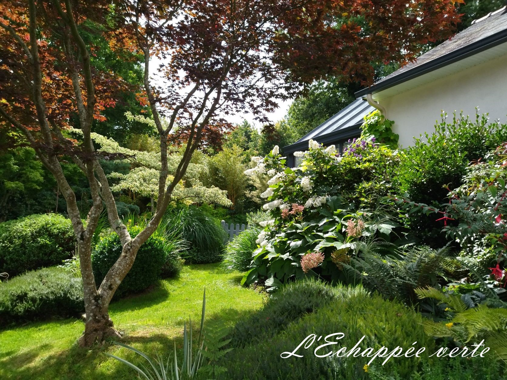 L&rsquo;échappée verte